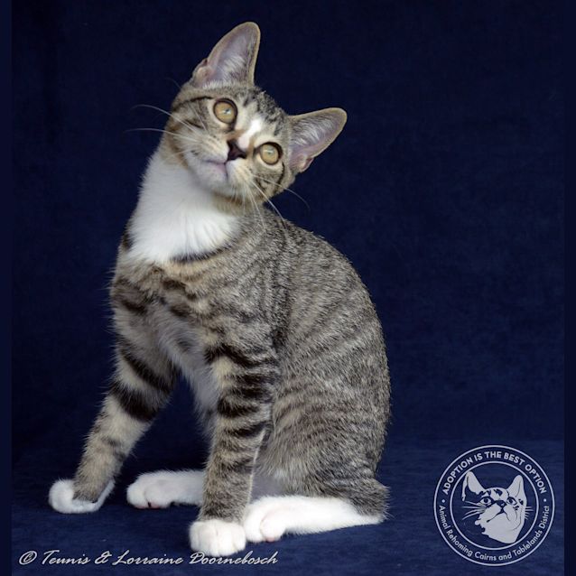 Photo of Tuffy