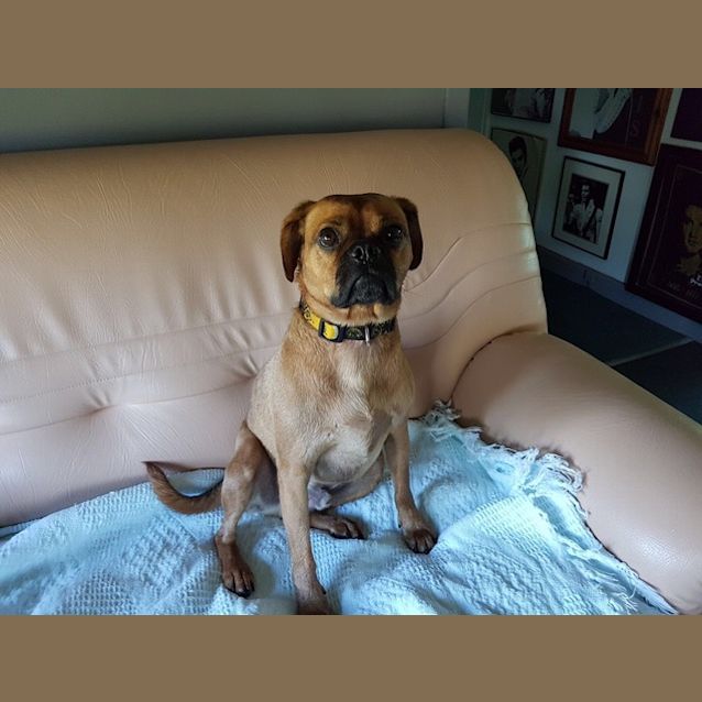 Photo of Benson ~ Pugalier (On Trial 24 3 2018)