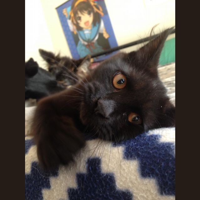 Photo of Arnie