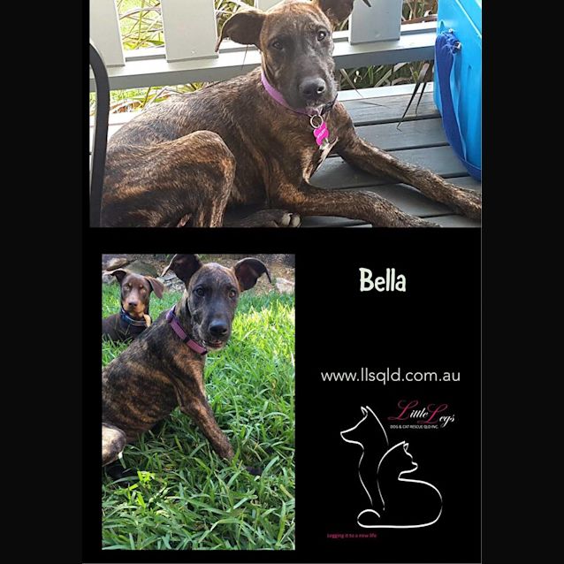 Photo of Bella 