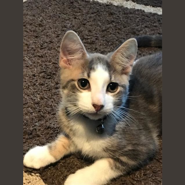 Photo of Bounty (Now Lemmy)
