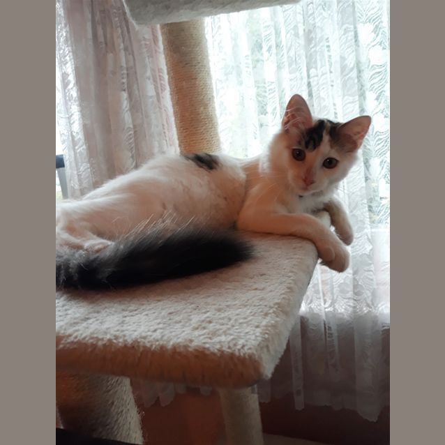 Photo of Thelma