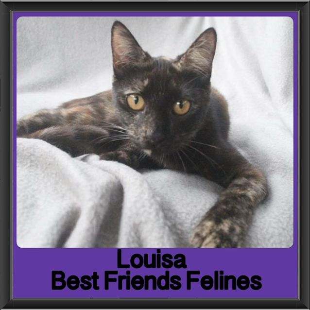 Photo of Louisa