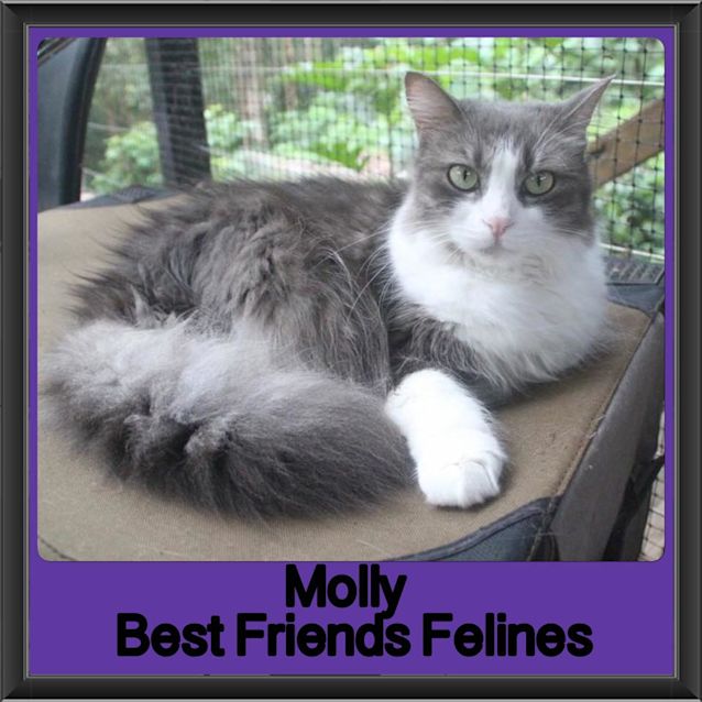 Photo of Molly 