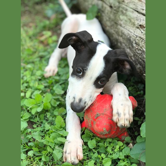 Photo of Rylen