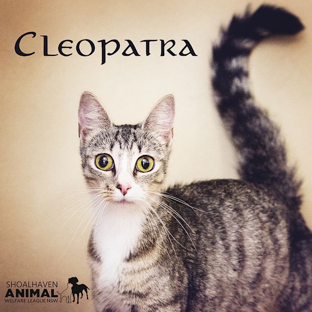 Photo of Cleopatra
