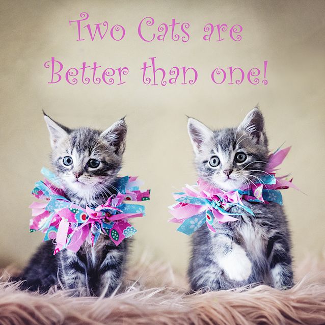 Photo of Emma & Emily