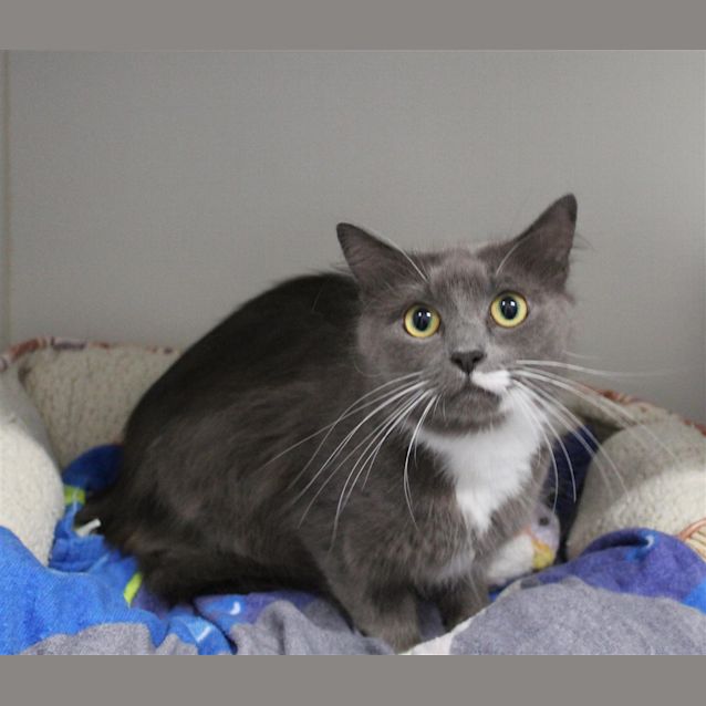 Photo of Arya