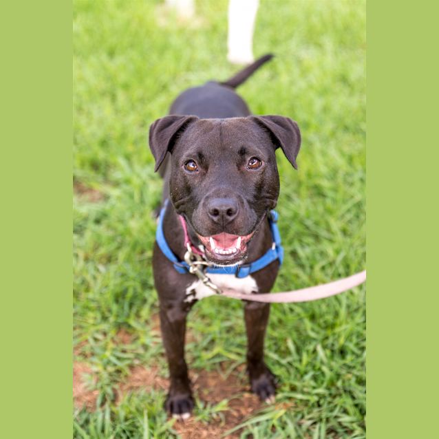 Photo of Sammy