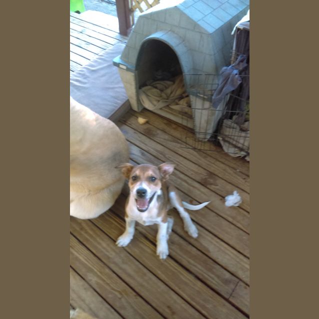 Photo of Jerome