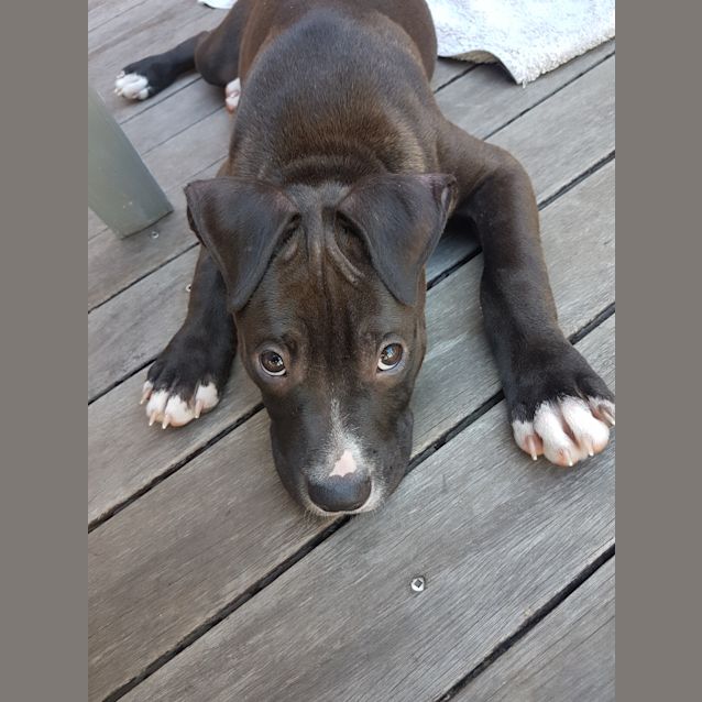 Photo of Dre