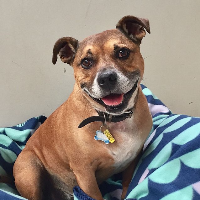 Photo of Buster