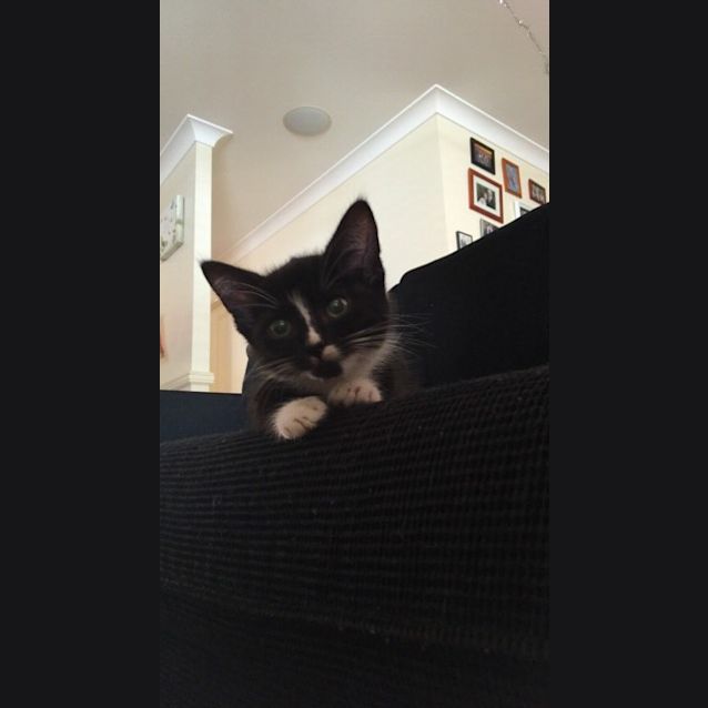Photo of Narla