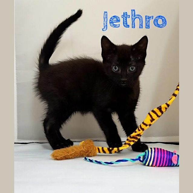 Photo of Jethro