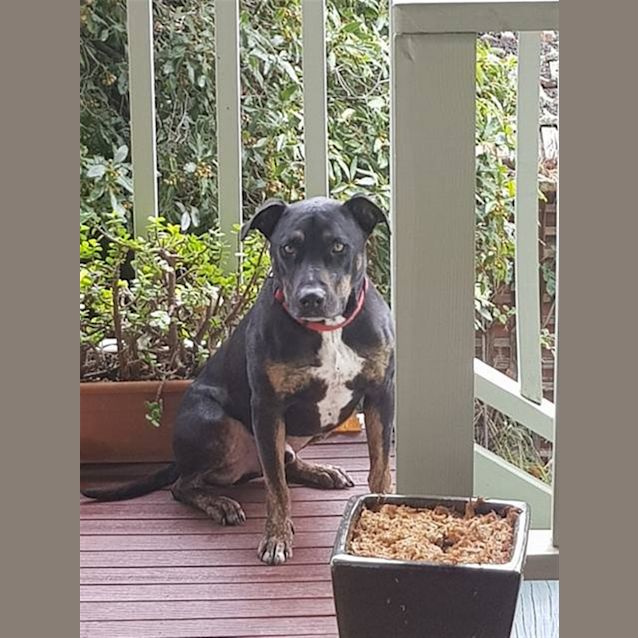 Photo of Biggy
