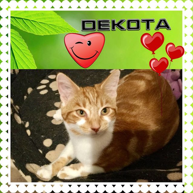 Photo of Dakota 
