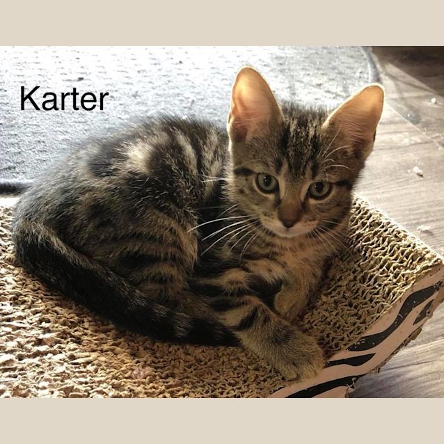 Photo of Karter