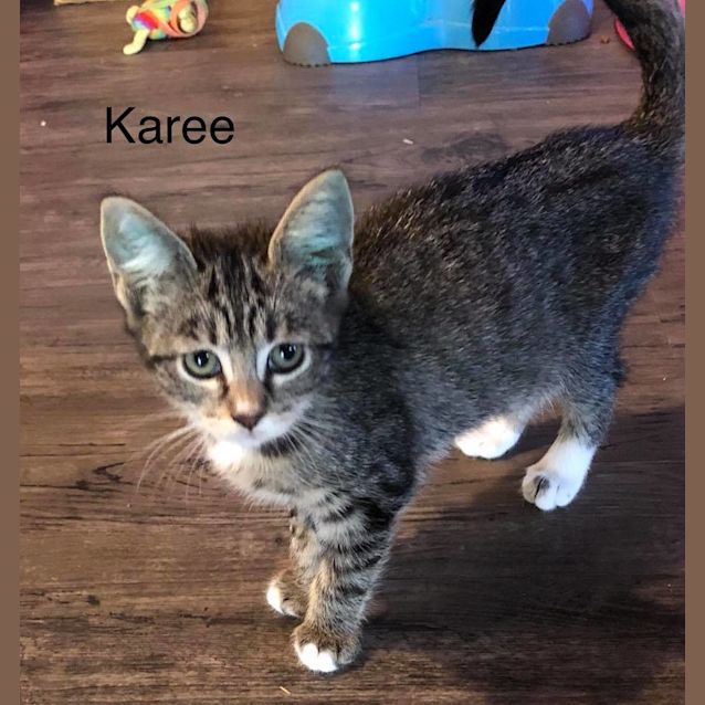 Photo of Karee