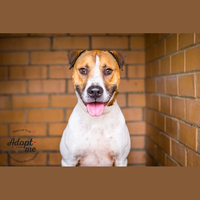 Photo of Ziggy (Hsc 06)