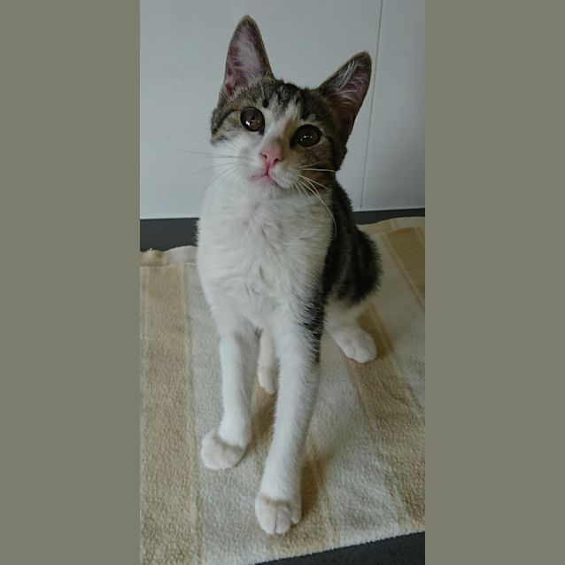 Photo of Zen