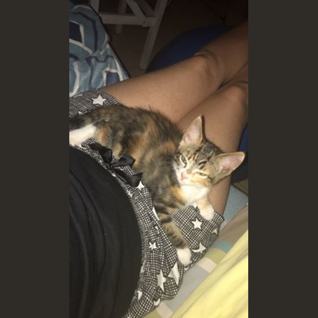 Photo of Callie