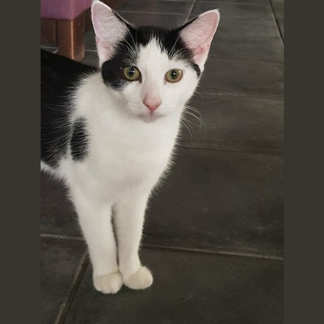 Photo of Valerie / Vlad