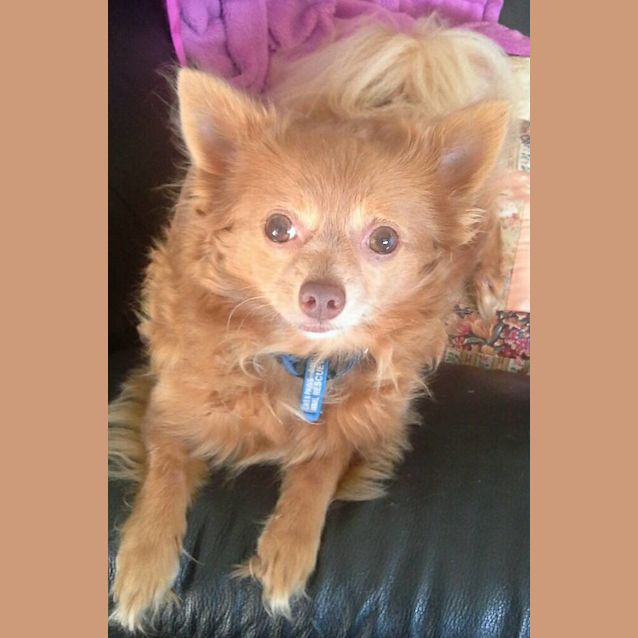 Photo of Bobby (On Hold)