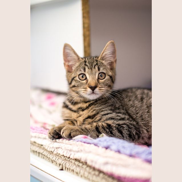 Photo of Precious