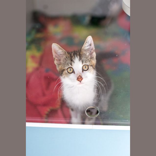 Photo of Alistair