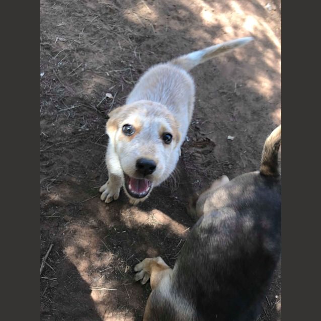 Photo of Molly
