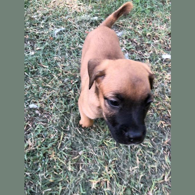 Photo of Storm