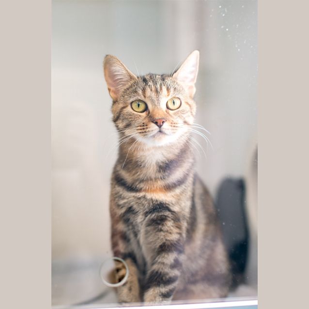 Photo of Eliza