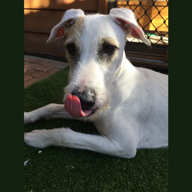 Photo of Jake