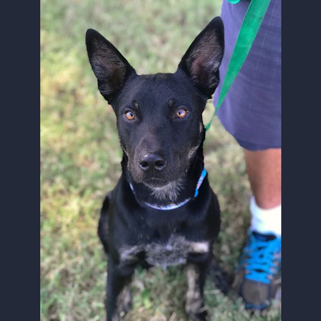 Photo of Billy 