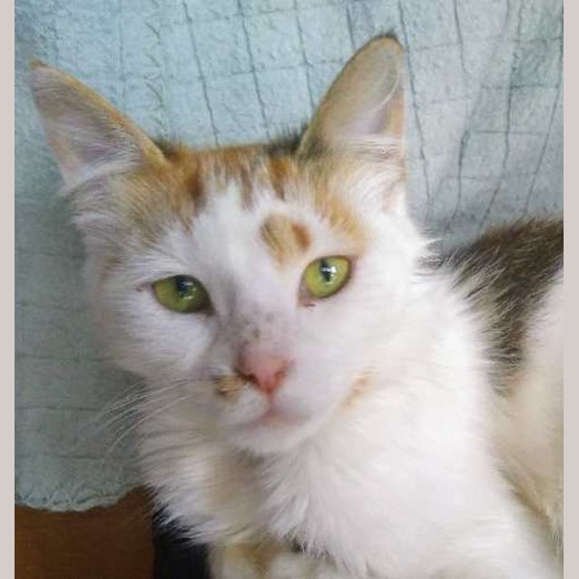 Photo of Maggie May