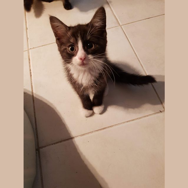 Photo of Monty