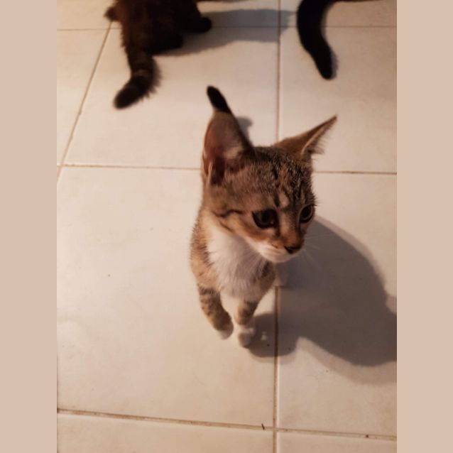 Photo of Poppi