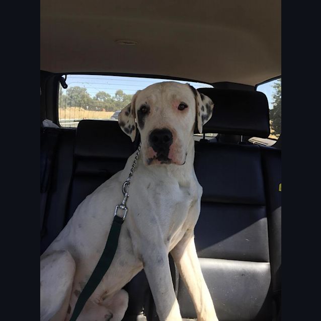 Photo of Reggie