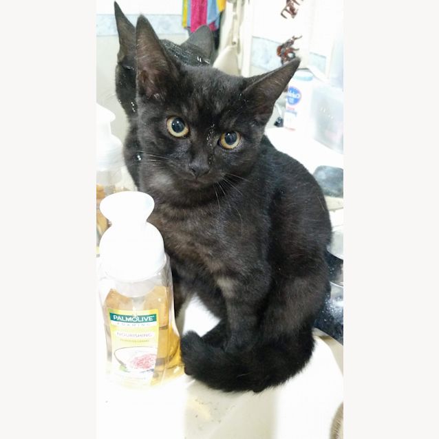 Photo of Spice