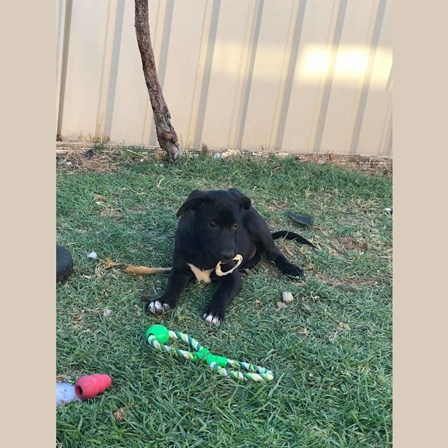 Photo of Chloe