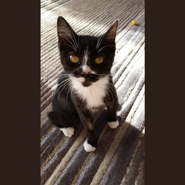Photo of Rocher(now Aurora)