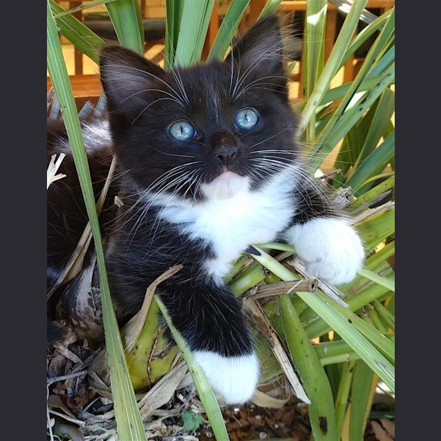 Photo of Zeus