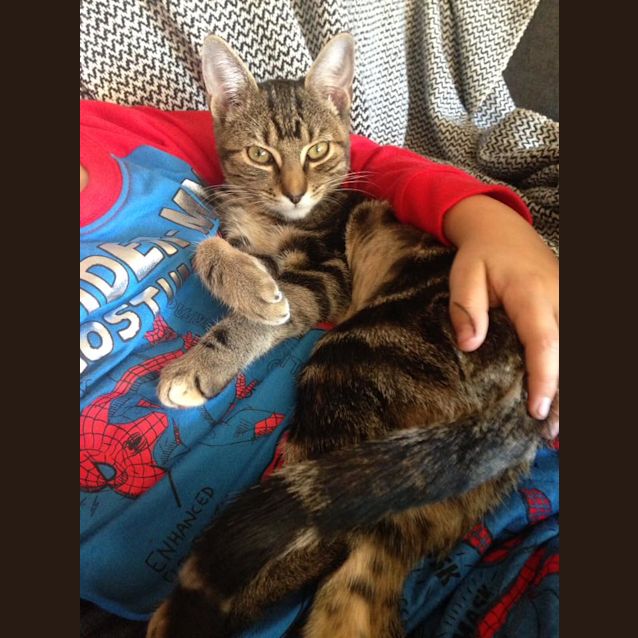 Photo of Lilo 