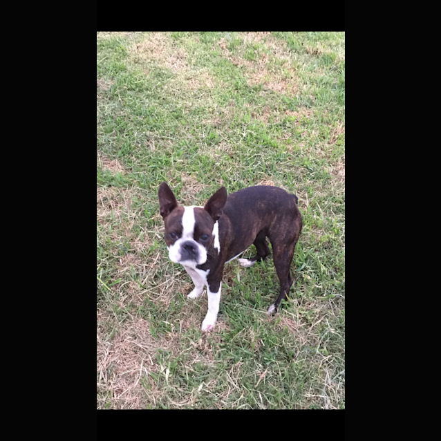 Photo of Matilda