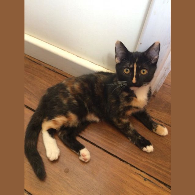 Photo of Nina