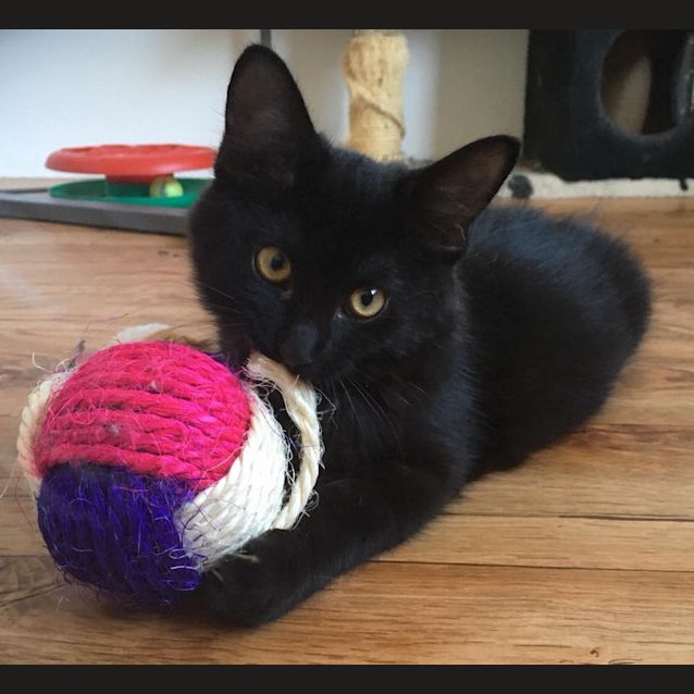 Photo of Puzzle