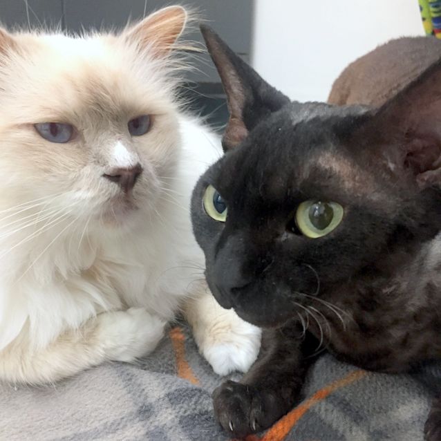 Photo of Remy & Sebastian