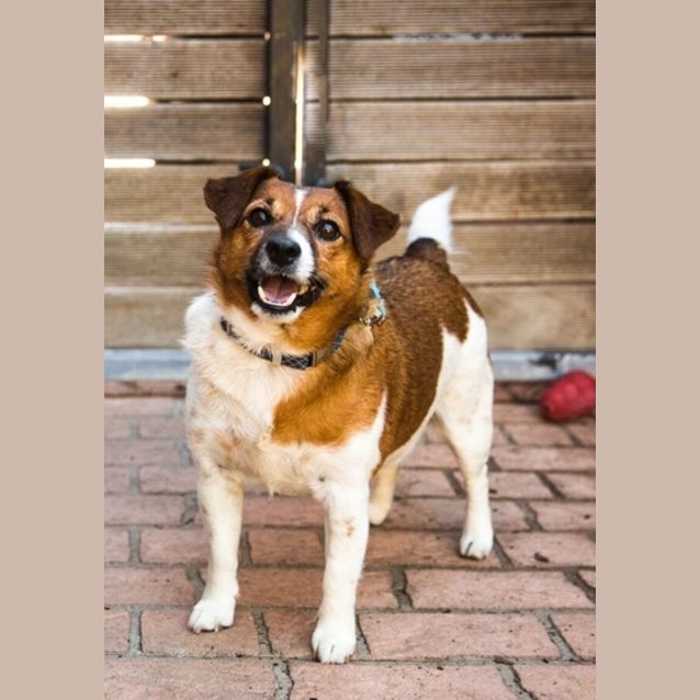 Photo of Ned
