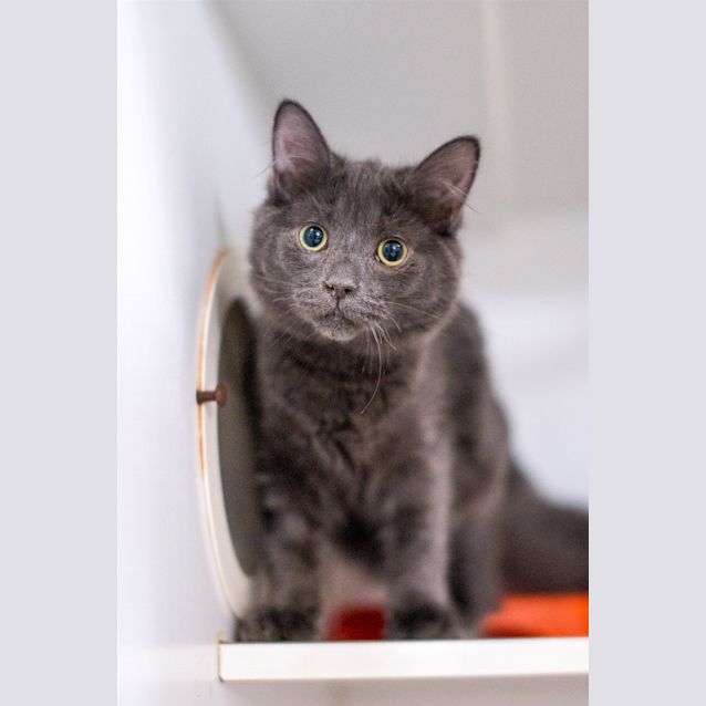 Photo of Fergus