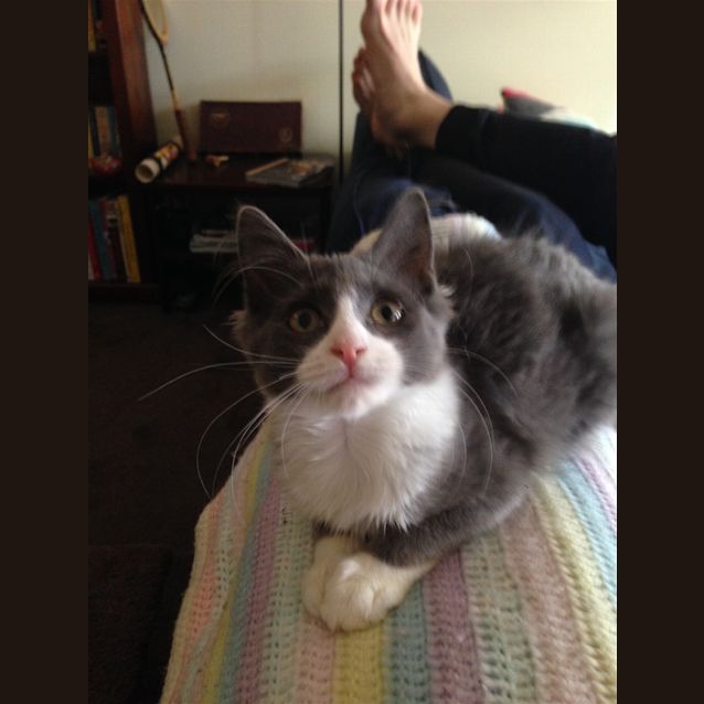 Photo of Poppy